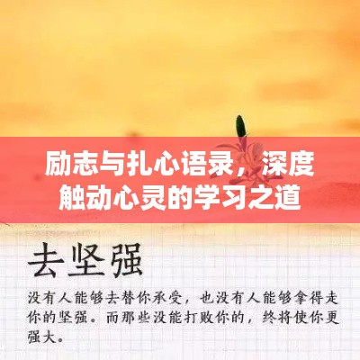 励志与扎心语录，深度触动心灵的学习之道