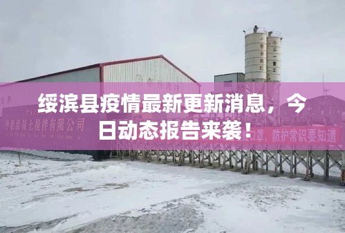 绥滨县疫情最新更新消息，今日动态报告来袭！