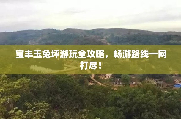 宝丰玉兔坪游玩全攻略，畅游路线一网打尽！
