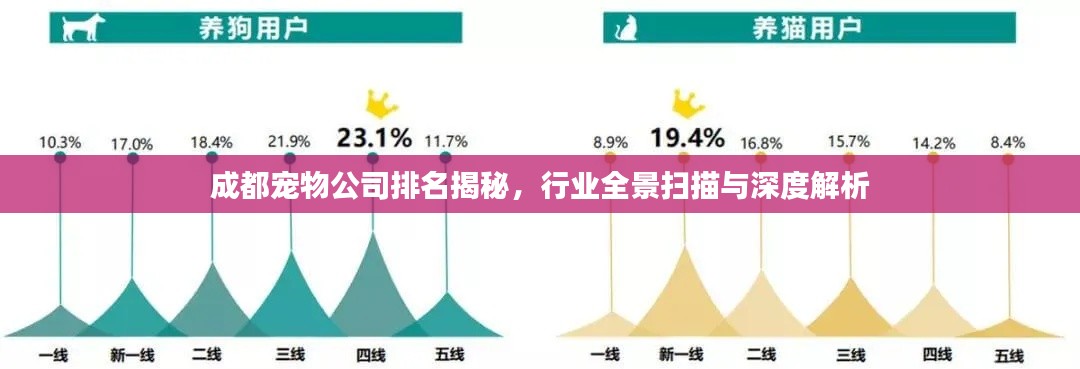 成都宠物公司排名揭秘，行业全景扫描与深度解析