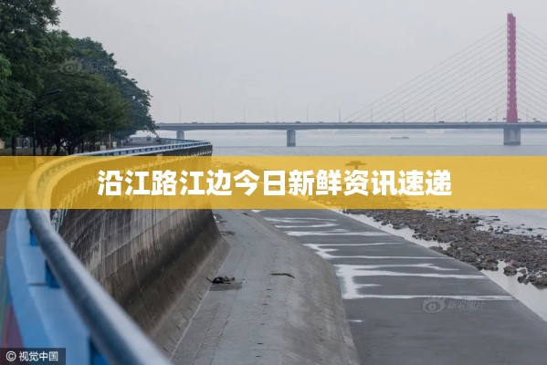 沿江路江边今日新鲜资讯速递