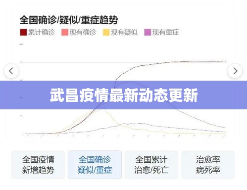 武昌疫情最新动态更新