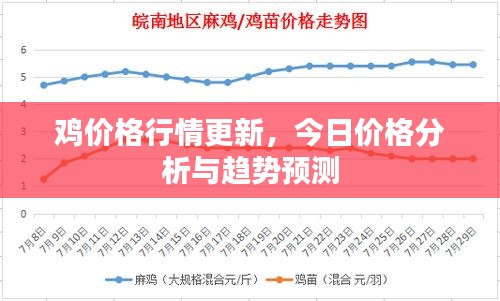 鸡价格行情更新，今日价格分析与趋势预测