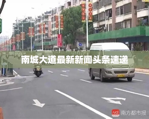 南城大道最新新闻头条速递