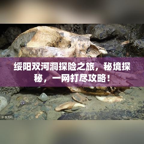绥阳双河洞探险之旅，秘境探秘，一网打尽攻略！