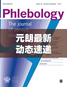 元朗最新动态速递，今日热点消息一网打尽