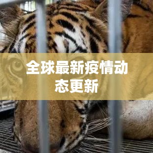 全球最新疫情动态更新