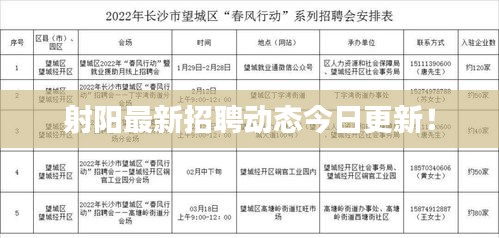 射阳最新招聘动态今日更新！
