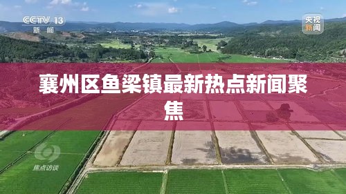 襄州区鱼梁镇最新热点新闻聚焦