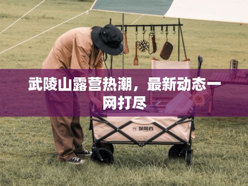 武陵山露营热潮，最新动态一网打尽