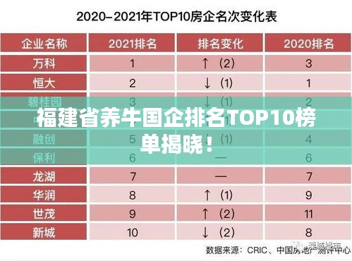 福建省养牛国企排名TOP10榜单揭晓！