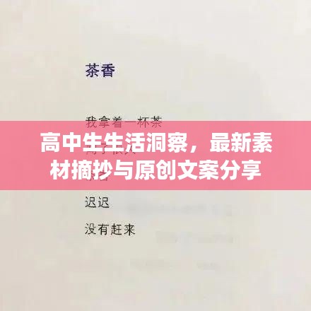 高中生生活洞察，最新素材摘抄与原创文案分享