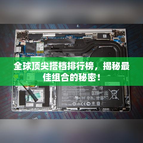 全球顶尖搭档排行榜，揭秘最佳组合的秘密！