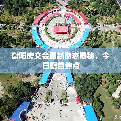 衡阳房交会最新动态揭秘，今日瞩目焦点