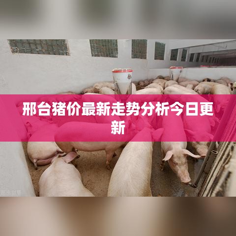 邢台猪价最新走势分析今日更新