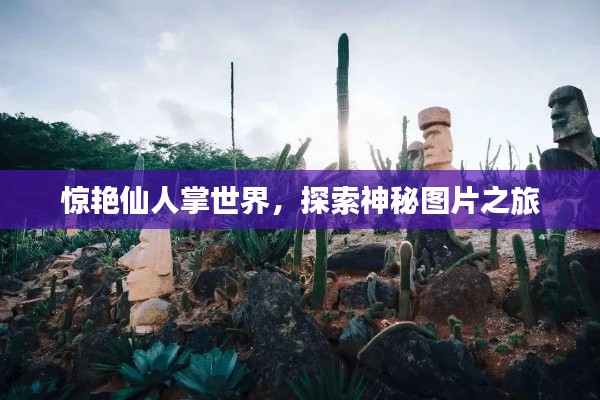 惊艳仙人掌世界，探索神秘图片之旅
