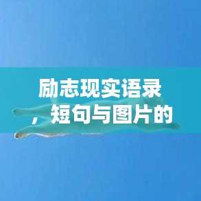 励志现实语录，短句与图片的力量，触动心灵！