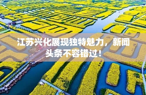 江苏兴化展现独特魅力，新闻头条不容错过！