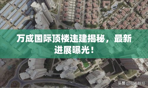 万成国际顶楼违建揭秘，最新进展曝光！