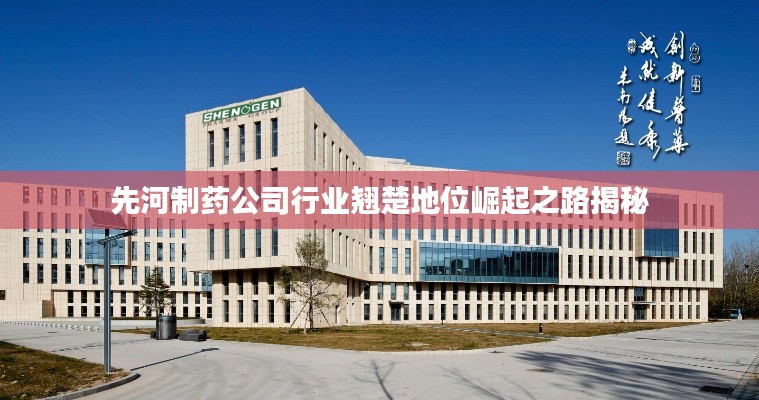 先河制药公司行业翘楚地位崛起之路揭秘
