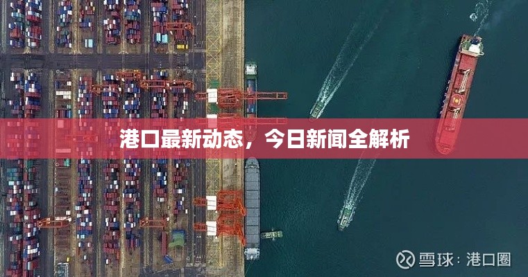 港口最新动态，今日新闻全解析