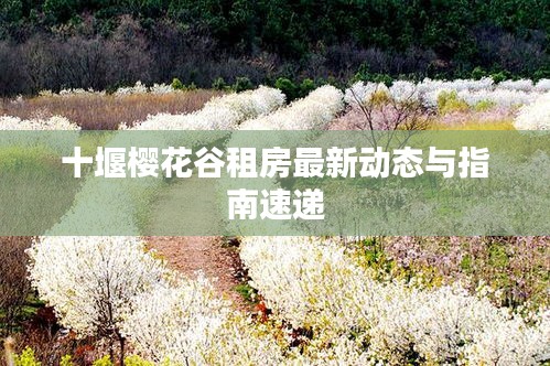 十堰樱花谷租房最新动态与指南速递