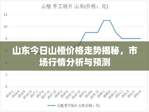 山东今日山楂价格走势揭秘，市场行情分析与预测