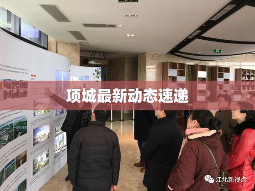 项城最新动态速递