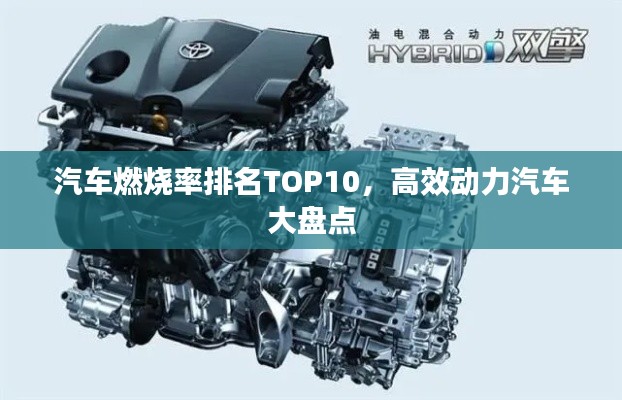 汽车燃烧率排名TOP10，高效动力汽车大盘点