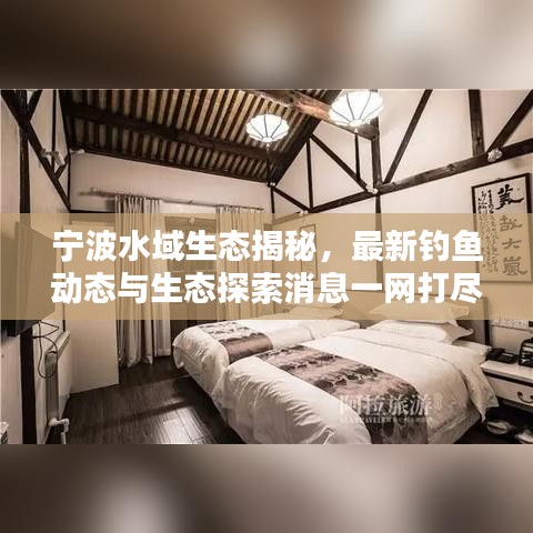 宁波水域生态揭秘，最新钓鱼动态与生态探索消息一网打尽！