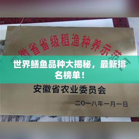 世界鳝鱼品种大揭秘，最新排名榜单！