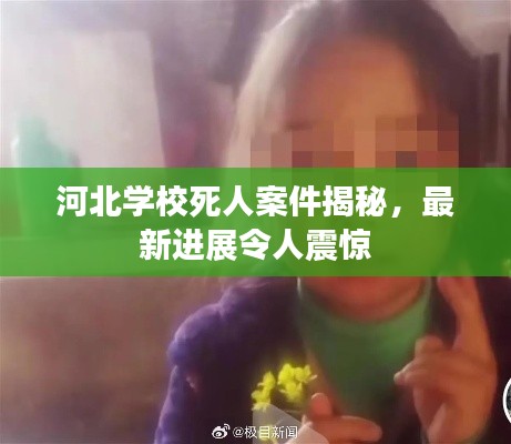 河北学校死人案件揭秘，最新进展令人震惊