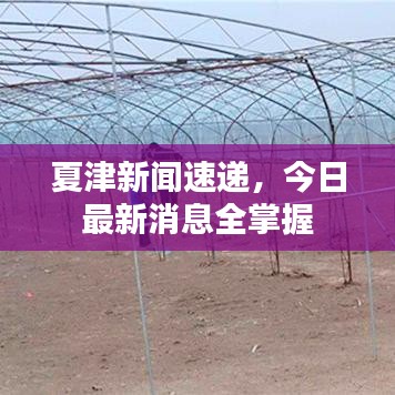 夏津新闻速递，今日最新消息全掌握