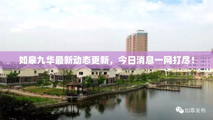 如皋九华最新动态更新，今日消息一网打尽！