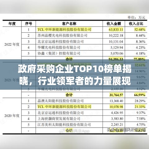 政府采购企业TOP10榜单揭晓，行业领军者的力量展现