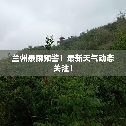 兰州暴雨预警！最新天气动态关注！