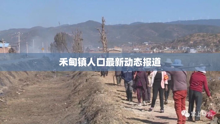 禾甸镇人口最新动态报道