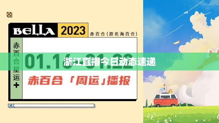 浙江直播今日动态速递