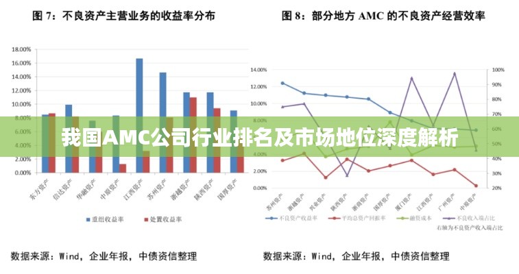 我国AMC公司行业排名及市场地位深度解析