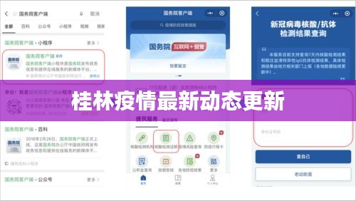 桂林疫情最新动态更新