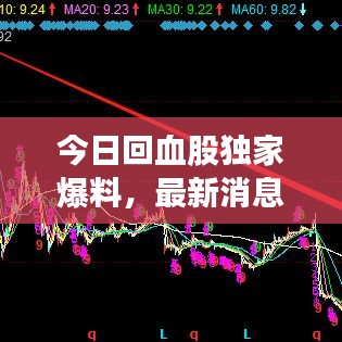 今日回血股独家爆料，最新消息一览无余