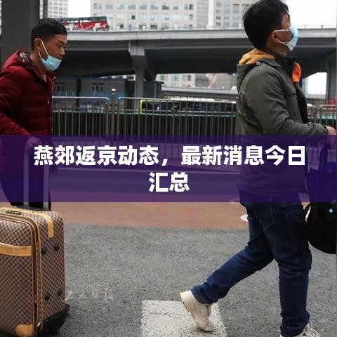 燕郊返京动态，最新消息今日汇总
