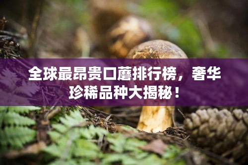 全球最昂贵口蘑排行榜，奢华珍稀品种大揭秘！