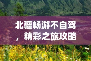 北疆畅游不自驾，精彩之旅攻略大揭秘！