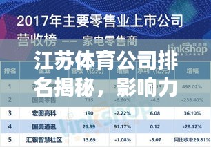 江苏体育公司排名揭秘，影响力深度剖析