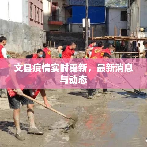 文县疫情实时更新，最新消息与动态