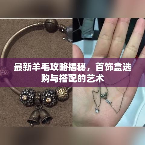 最新羊毛攻略揭秘，首饰盒选购与搭配的艺术