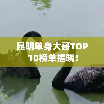 昆明单身大哥TOP 10榜单揭晓！