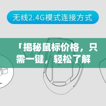 「揭秘鼠标价格，只需一键，轻松了解鼠标价格！」