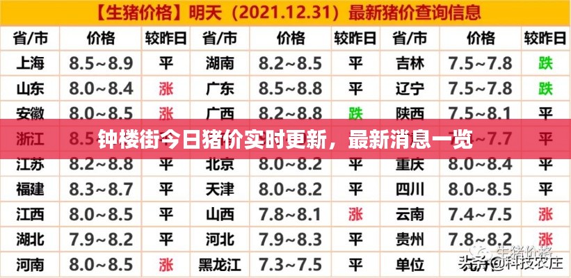 钟楼街今日猪价实时更新，最新消息一览